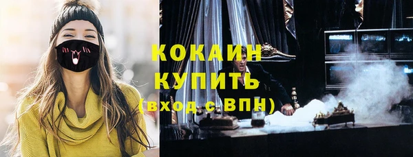 тгк Алексин