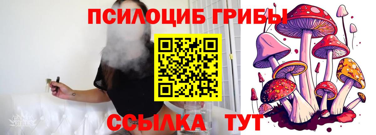 Нефтекамск  Галлюциногенные грибы Psilocybine cubensis  Вход с VPN 